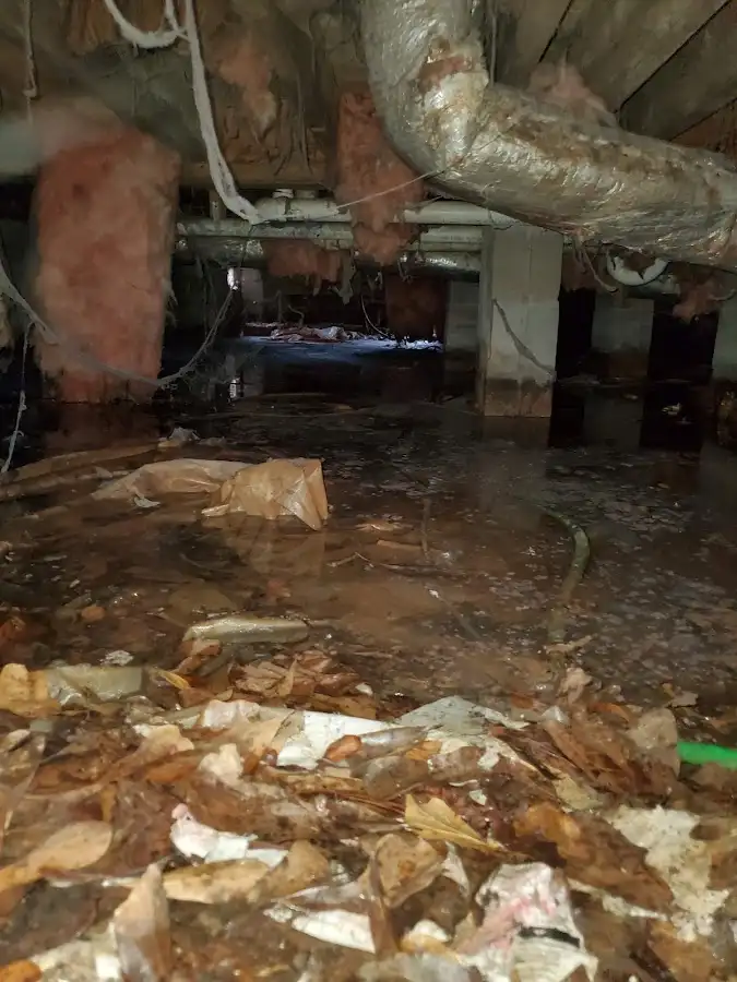 Crawl space flood assessment for Commercial Water Damage Restoration in Peninsula
