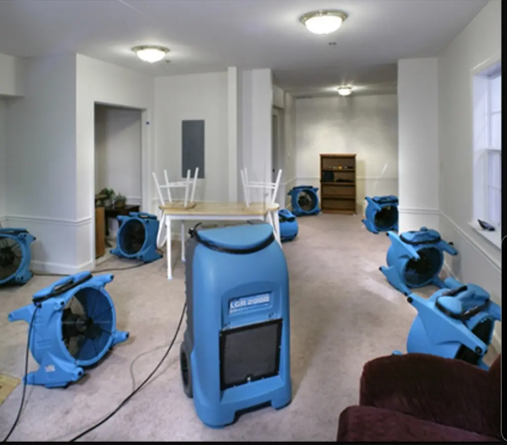 Air movers and dehumidifier setup for Water Extraction & Removal in Peninsula