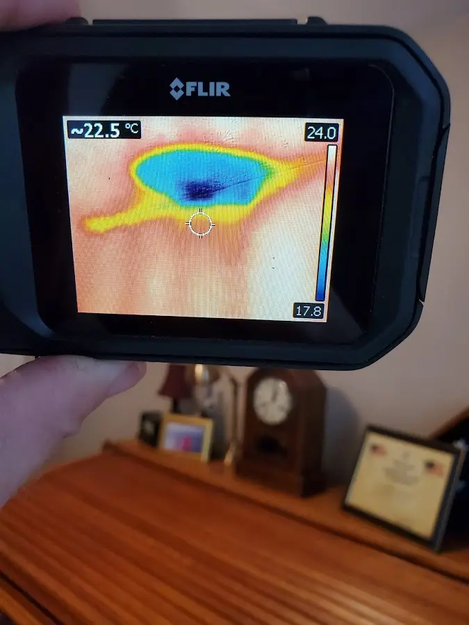 Thermal imaging inspection for water damage in Peninsula
