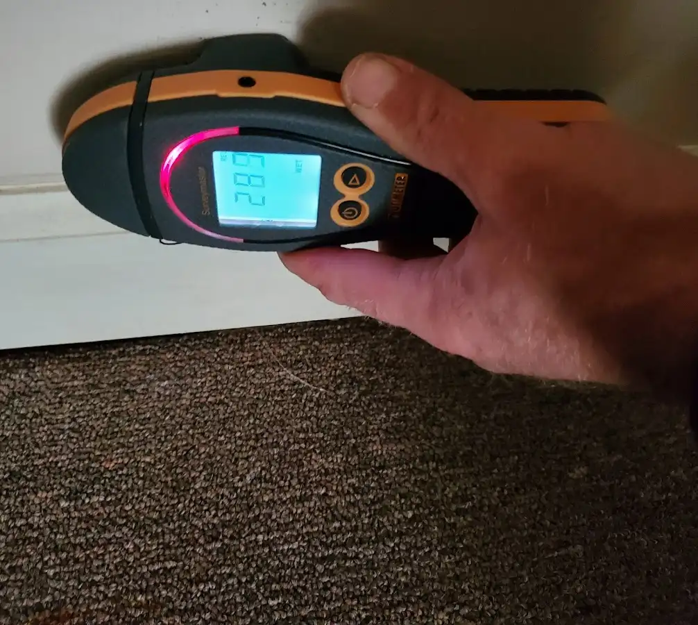 Moisture detection at baseboard during Mold Inspection & Testing in Peninsula